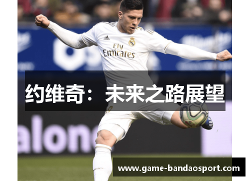 约维奇：未来之路展望