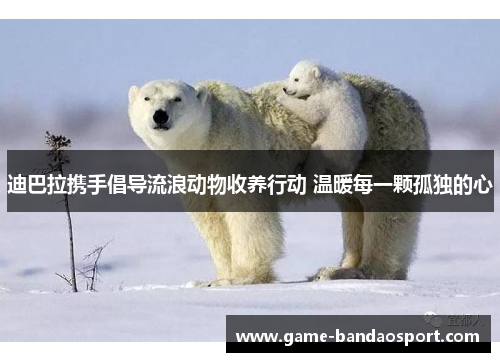 迪巴拉携手倡导流浪动物收养行动 温暖每一颗孤独的心